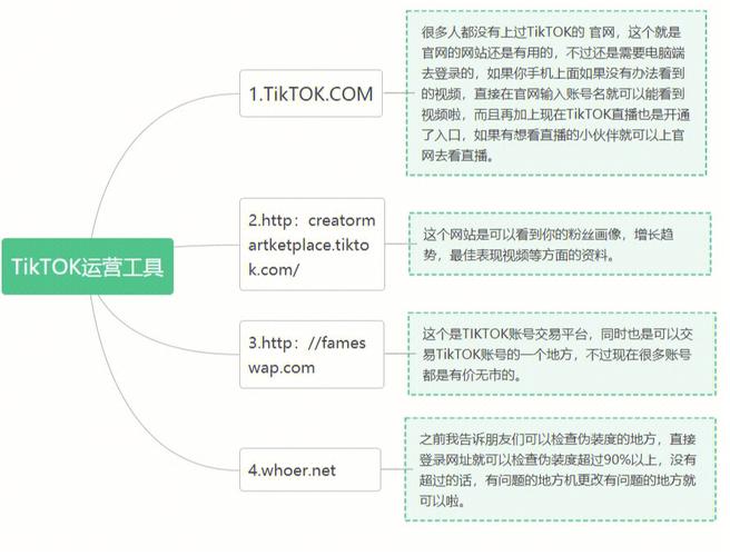 「VPS与域名解析：搭建高效网络服务的关键步骤」（tiktok网络环境搭建教程)-图2