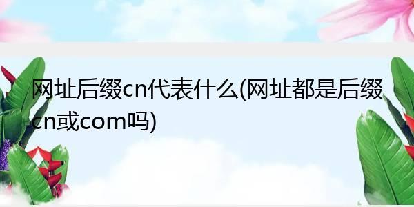 com表示的是什么网址效果，后缀为com的是什么网站-图2