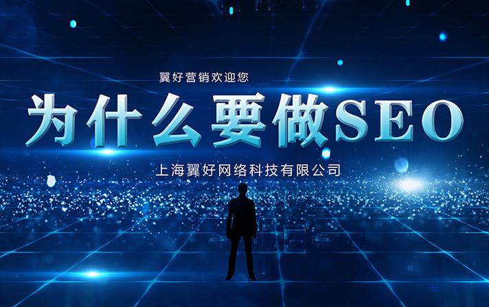 上海网络营销seo是什么,深入了解上海网络营销seo（上海网络营销有限公司）-图3