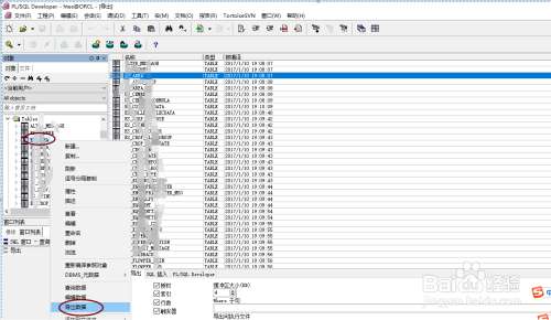 Oracle导出数据库PLSQL怎样导出表结构，oracle怎么查看数据库表结构类型-图1