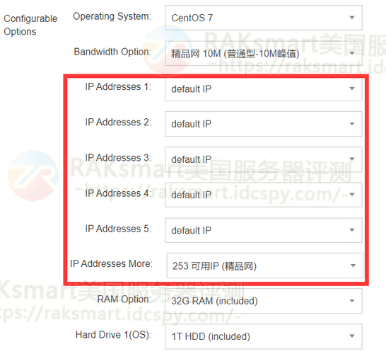 站群怎么租服务器，外国服务器网站vps租用怎么选择-图2