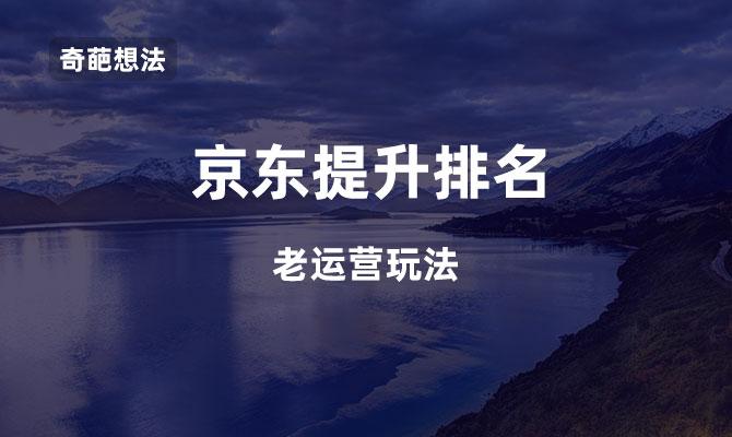 如何优化关键词排名,优化关键词排名的重要性（京东关键词排名怎么快速提升)-图3