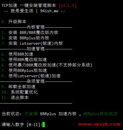 Openvz的VPS无论如何都没有办法安装锐速么，怎么清空vps安装的程序文件-图1