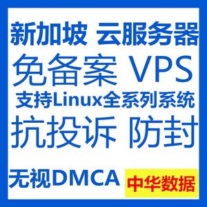 租用新加坡云主机有哪些常见的问题（租用新加坡云主机有哪些常见的问题呢）-图2