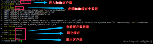 redis没有bin目录怎么启动，linux查看redis状态-图1