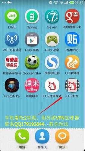 fc2怎么输对域名（fc2的域名如何设置）-图1