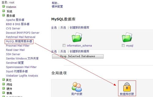 虚拟主机数据库放在什么地方，虚拟主机怎么设置数据库权限-图3