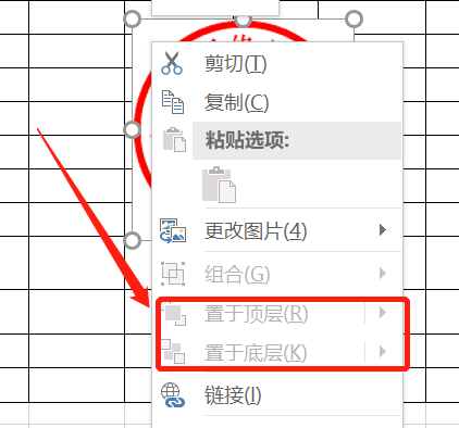 照片为什么不显示（excel添加照片为什么不显示）-图3