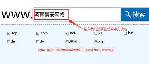 中文的域名有必要注册吗，为什么注册中文域名不能用-图1