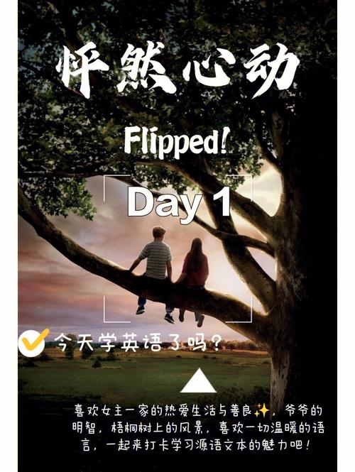 为什么喜欢怦然心动中的女主，为什么喜欢flipped小说-图2