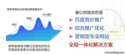 为什么网站优化（为什么网站优化不了）-图3