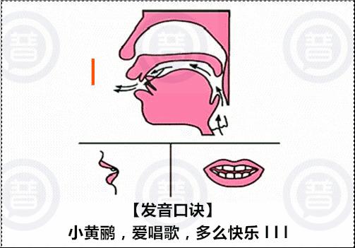 planned后面要加to吗，should为什么l不发音-图3