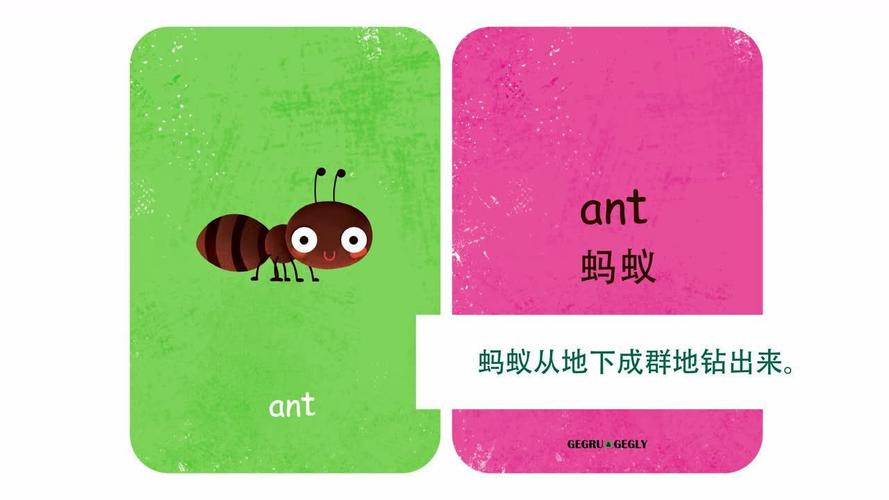 ant和aunt发音区别，蚂蚁为什么是复数形式-图1