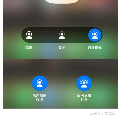 为什么airpods电音（airpods pro总是出现电音)-图1