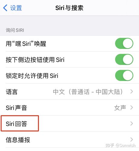 为什么siri没有叮咚提示（为什么siri没有叮咚声）-图1