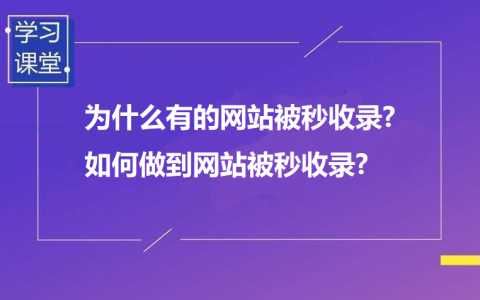 为什么有的网站秒收录（为什么大网站收录快）-图2