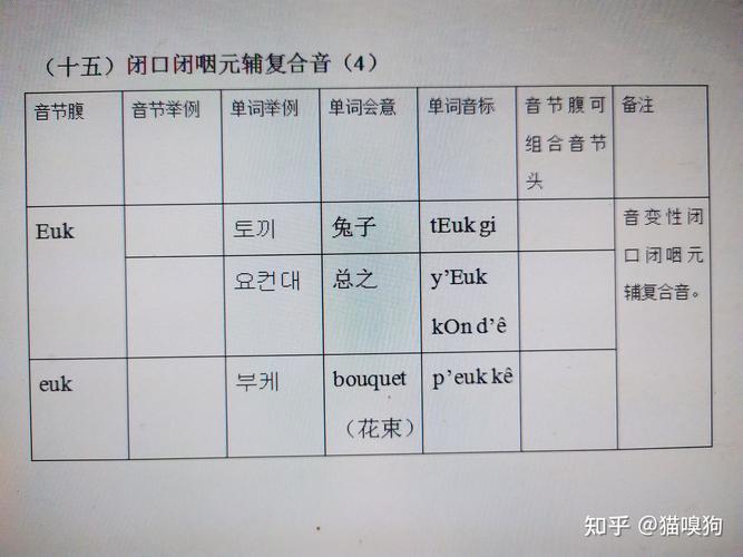 为什么韩语是音素语言（为什么韩语是音素语言)-图3