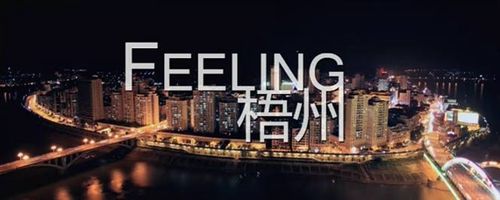 feeling的名词形式和用法，feeling为什么有复数-图3