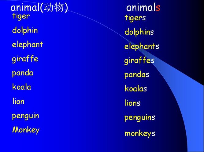 monkeys为什么直接加s（monkey加s还是es）-图3