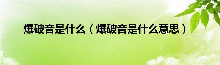 唱歌为什么老是爆破音（音响爆音原因及处理方法)-图2