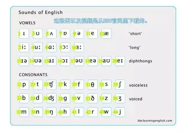 BBC为什么称之为母语（怎么知道单词中是什么音标)-图3