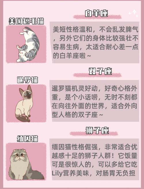 天秤男最爱哪个星座女，为什么天秤座都喜欢猫咪-图2