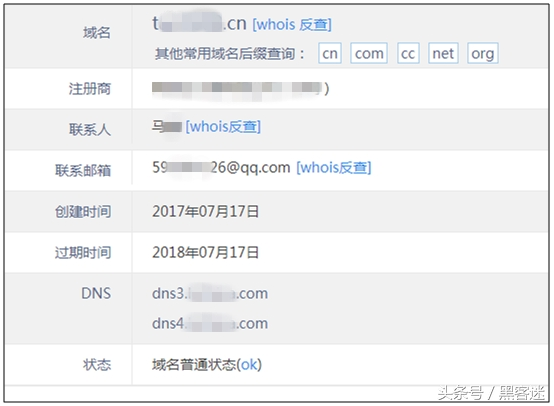 cn域名注册信息查询，域名注册人反查-图1