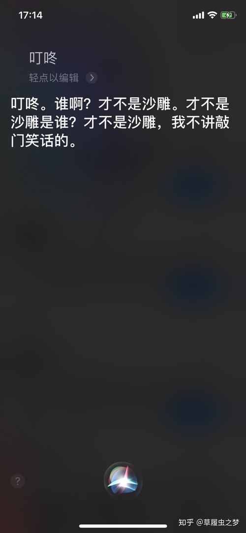 为什么siri没有叮咚提示音（为什么siri没有叮咚声）-图1