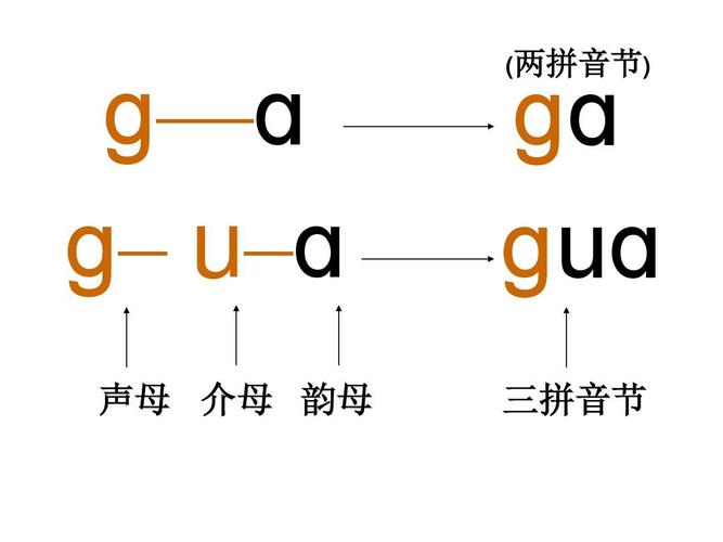 为什么介母只有三个（介母只有三个吗）-图2