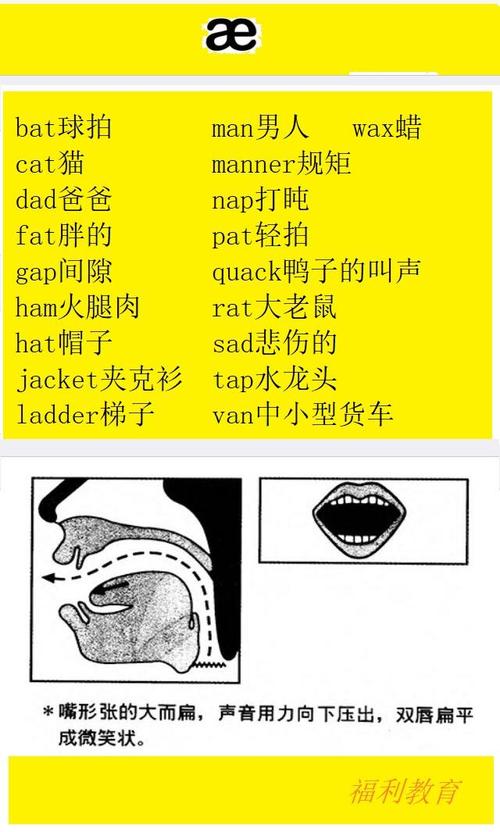 为什么英文音节a这么多读音（为什么英文音节a这么多读音呢）-图3