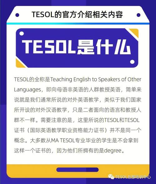 中国人为什么要考tesol（中国人为什么要考tesol)-图3