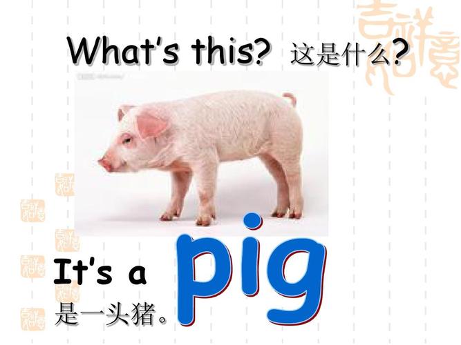 夏洛特的网中“somepig”是什么意思，一些猪的英文-图1