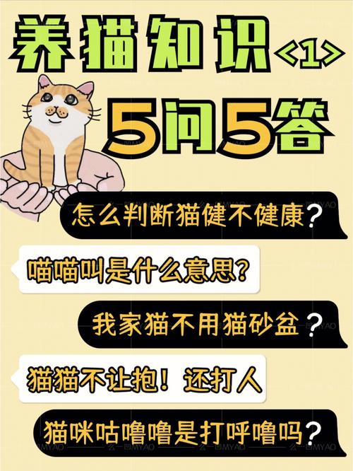 猫猫为什么突然不用猫砂了，四处一词是什么意思-图2