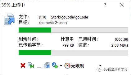 如何使用Golang编写跨平台的应用程序（golang 跨平台）-图2