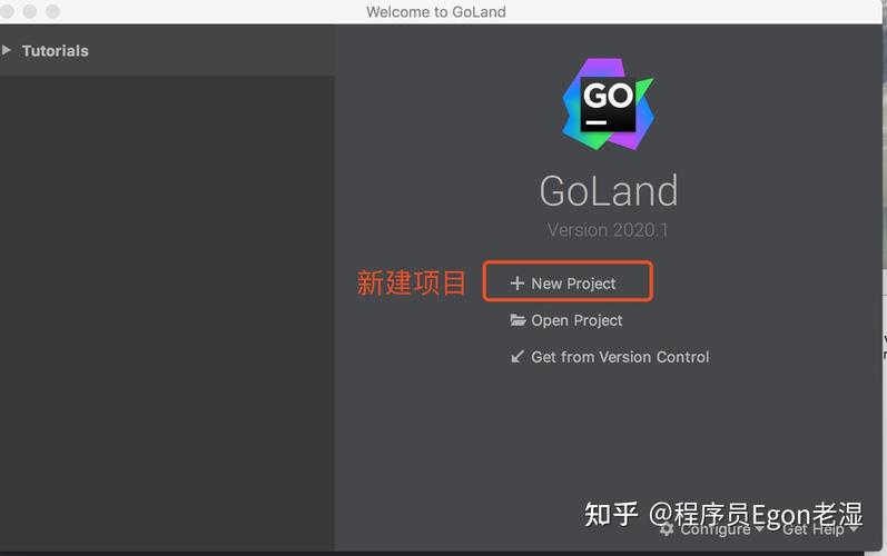 master go客户端离线可以用吗，goland ide-图1