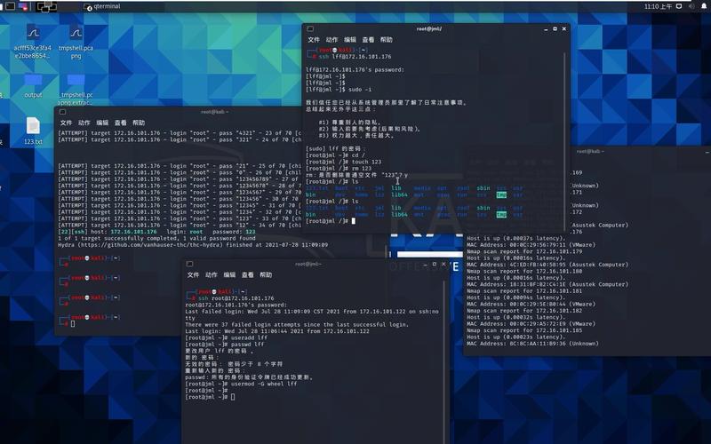 kali linux可以做什么，linux 网络安全-图2