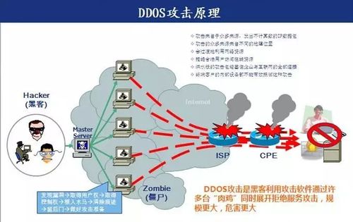 什么是DDOS攻击，如何避免成为ddos攻击的下一个受害者-图2