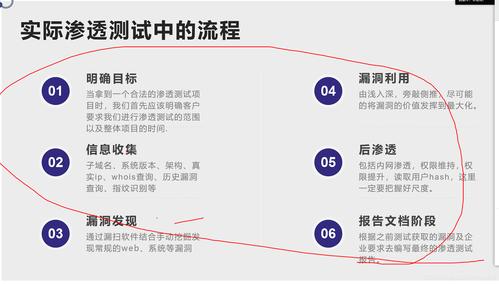 谷雨网络是做什么的，网络渗透测试,如何评估你的网络安全弱点-图3