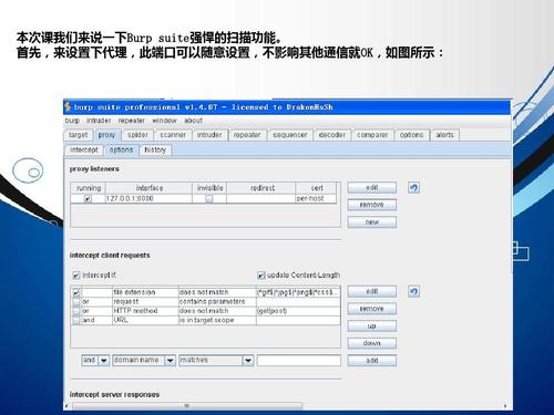 传奇漏洞检测工具使用方法，web 漏洞扫描-图3