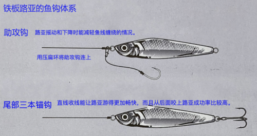 网络钓鱼攻击升级！如何应对新型钓鱼手法？（路亚的各种垂钓方法)-图1