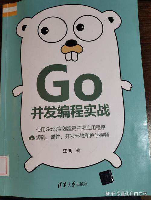 golang服务端开发难吗，golang并发编程实战-图3