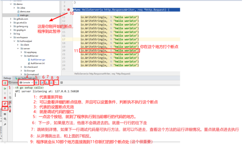 Goland中的Debug技巧快速定位问题（计算机的编程好学吗)-图1