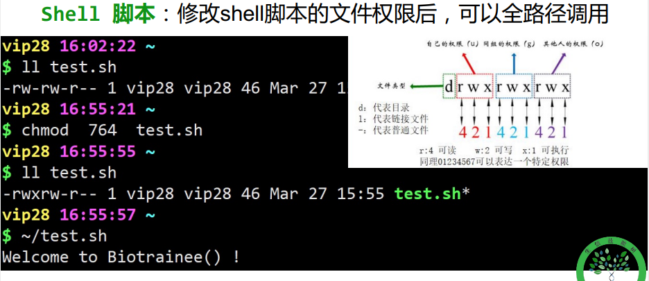 linux下通过sh打开一个程序，如何编写sh脚本，linux中怎么编写shell脚本-图3