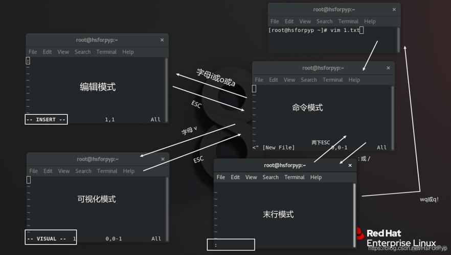 Linux中的Vim编辑器，你真的会用吗？（如何编译运行Linux系统里Vim编辑器编写的程序)-图1