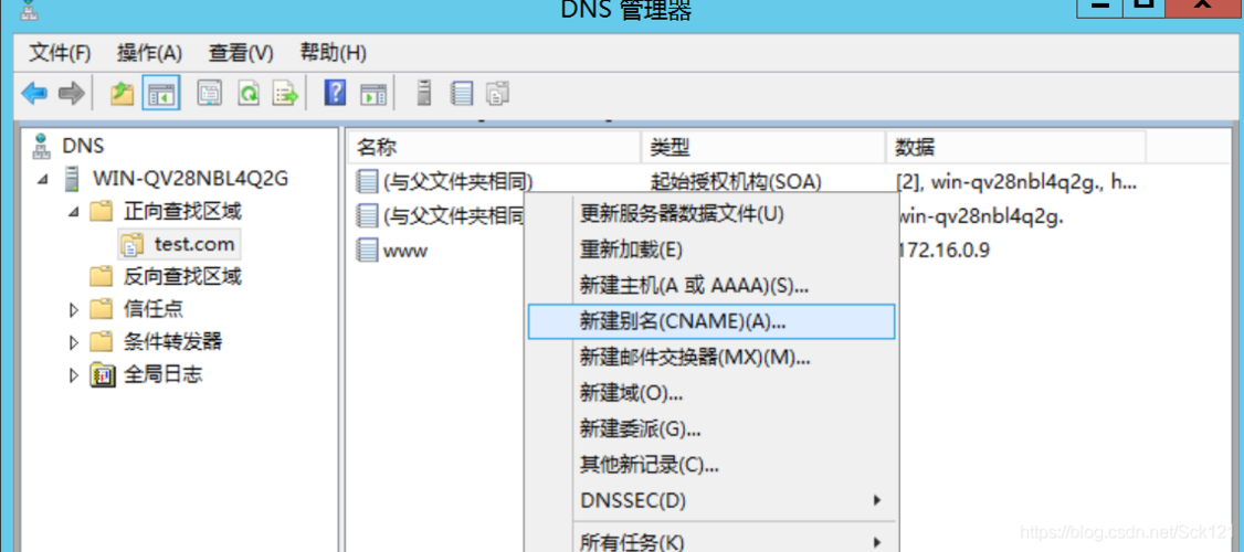 安装配置dns服务器_配置DNS-图2