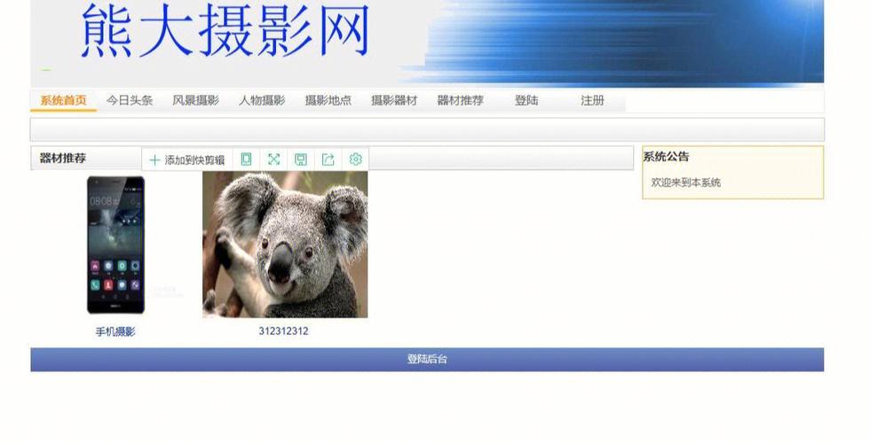 asp婚纱摄影网站源码_ASP报告信息-图3