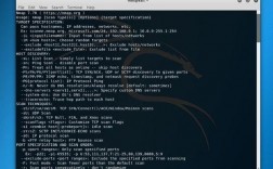 kalilinux渗透测试技术详解，kali linux常用的攻击工具