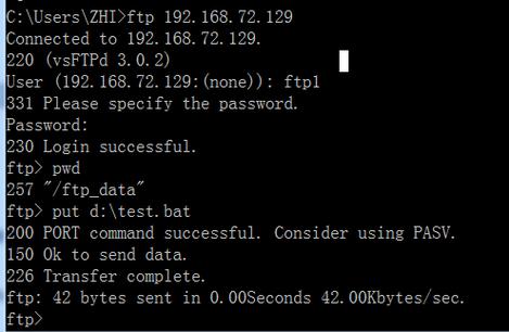 安装 ftp服务器 lunix_FTP-图1